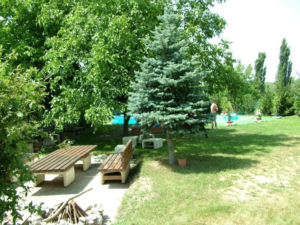 Hotel Zoldhaz Bio Panzio Gyenesdiás Zewnętrze zdjęcie